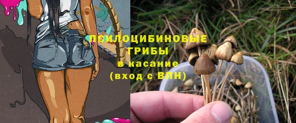 мескалин Абаза