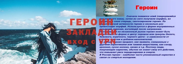 стаф Ладушкин