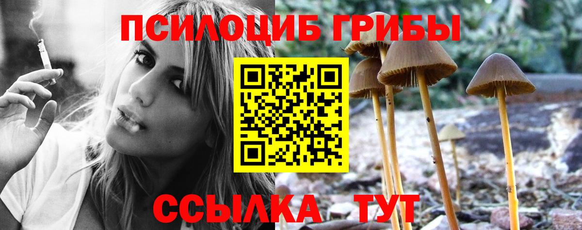 Псилоцибиновые грибы ЛСД Ковров